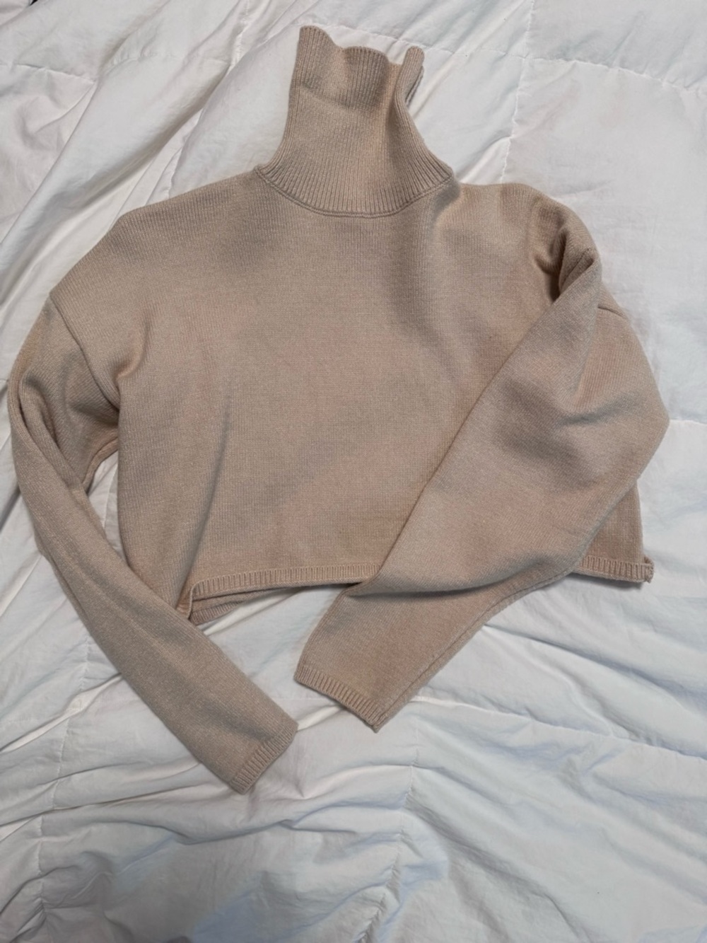 Fashion Nova Cropped Turtleneck Sweater - Beige